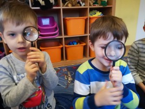 IMG_20180110_093736